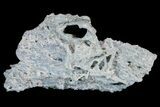 Fibrous, Blue Chalcedony Formation - Maharashtra, India #178442-1